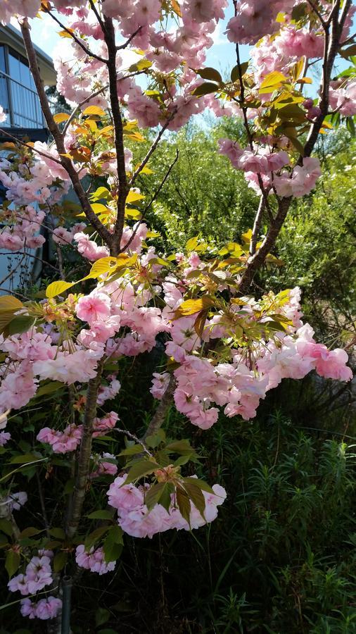 Beezneez B&B Orford Luaran gambar